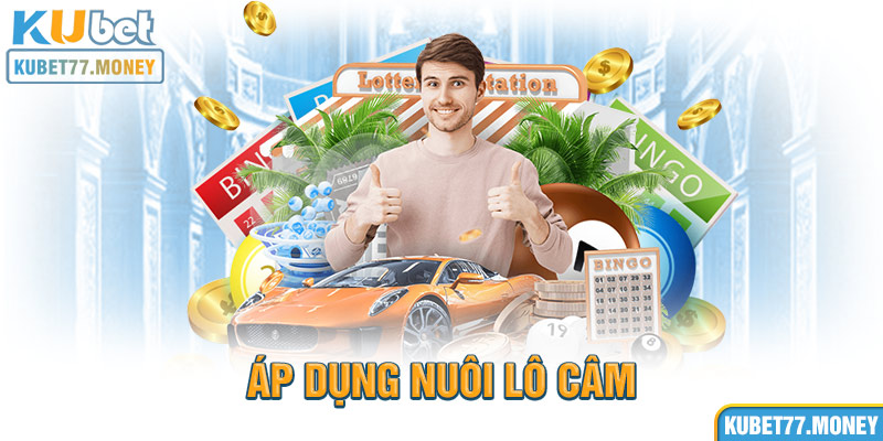 Áp dụng nuôi lô câm